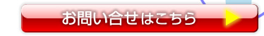䤤礻Ϥ